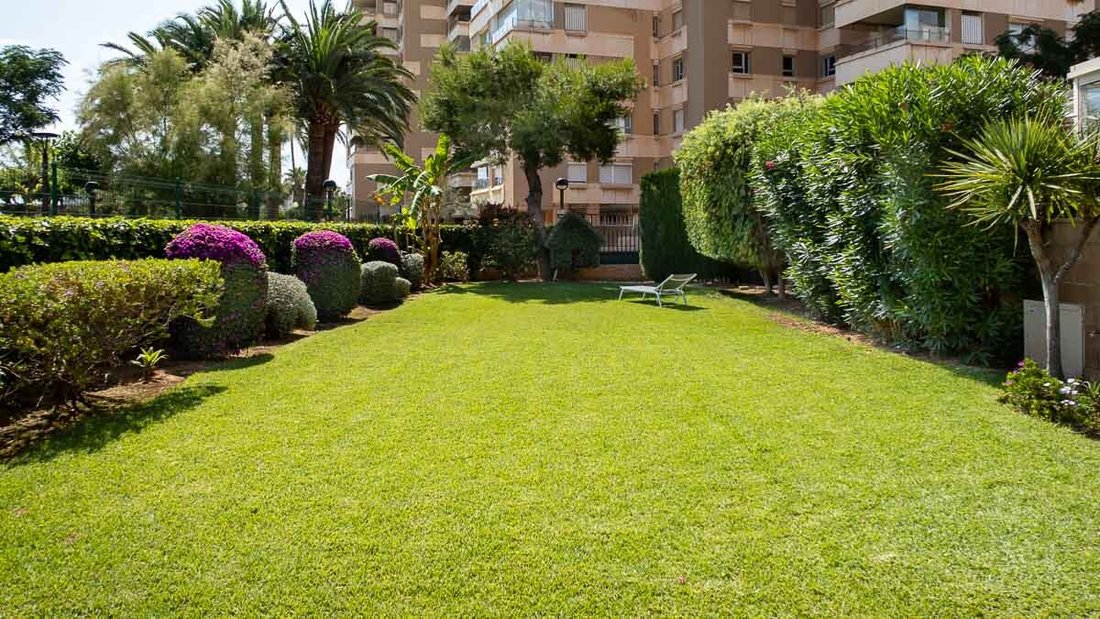 Apartment in Palma, Balearic Islands, Spain 3 - 18310318