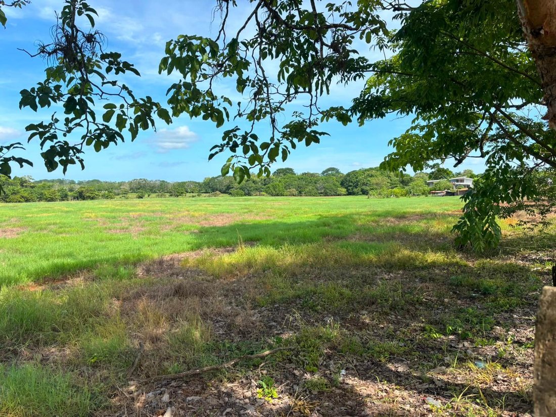 Land in Cóbano, Puntarenas Province, Costa Rica 1 - 18313530