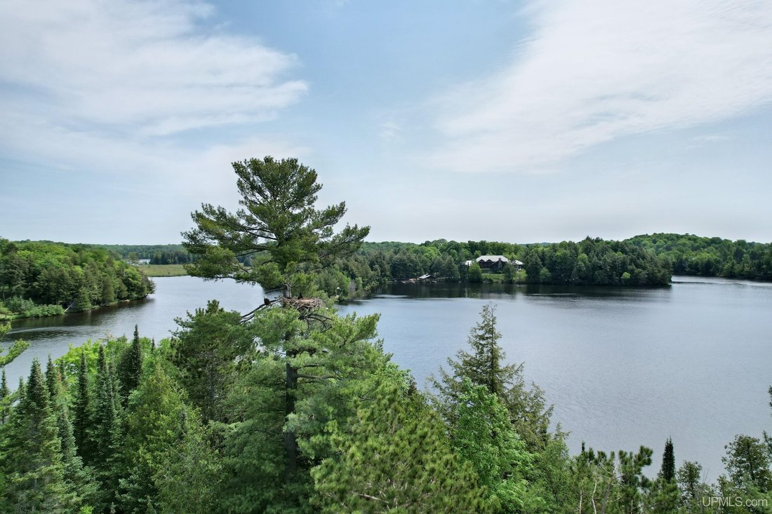 House in Watersmeet, Wisconsin, United States 3 - 18309434