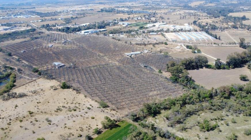 Land in Corral de Barrancos, Aguascalientes, Mexico 4 - 18311525