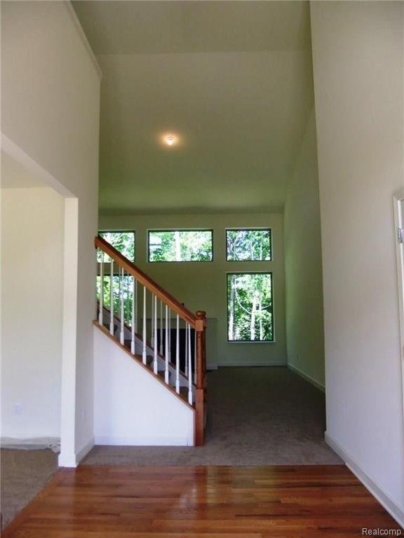 House in Plymouth, Michigan, United States 3 - 18308812