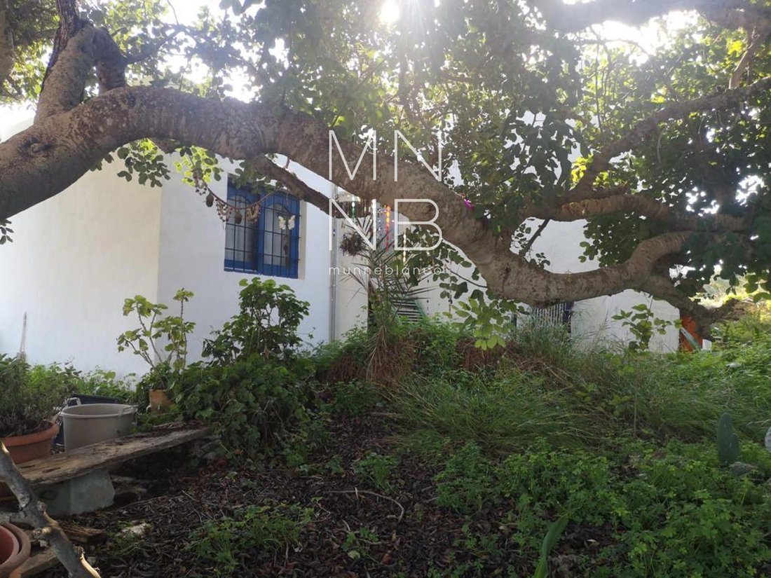 House in Formentera, Balearic Islands, Spain 1 - 18313473