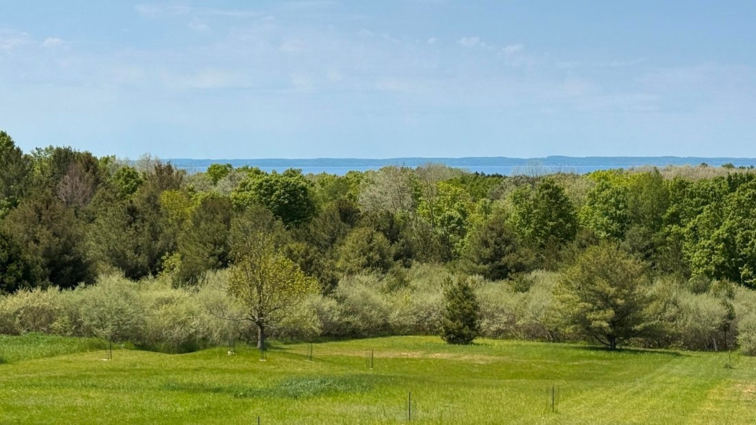 House in Central Lake, Michigan, United States 3 - 18308402