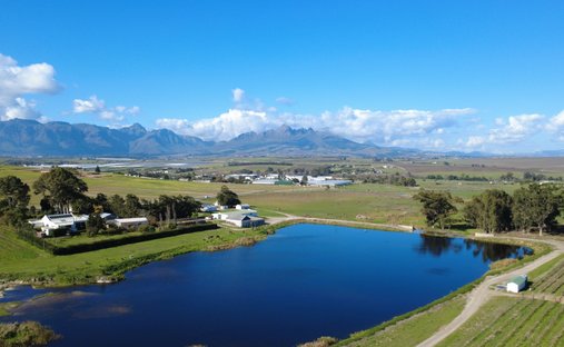 Farm Ranch in Brackenfell South, Northern Suburbs, Cape Town 1