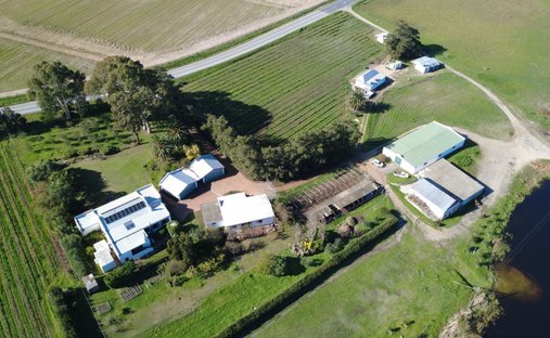 Farm Ranch in Stellenbosch, Western Cape, South Africa 1