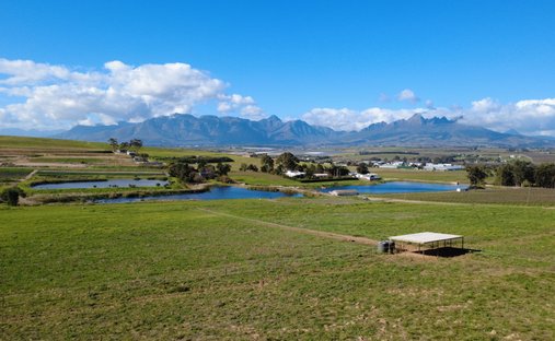 Azienda agricola a Stellenbosch, Capo Occidentale, Sudafrica 1