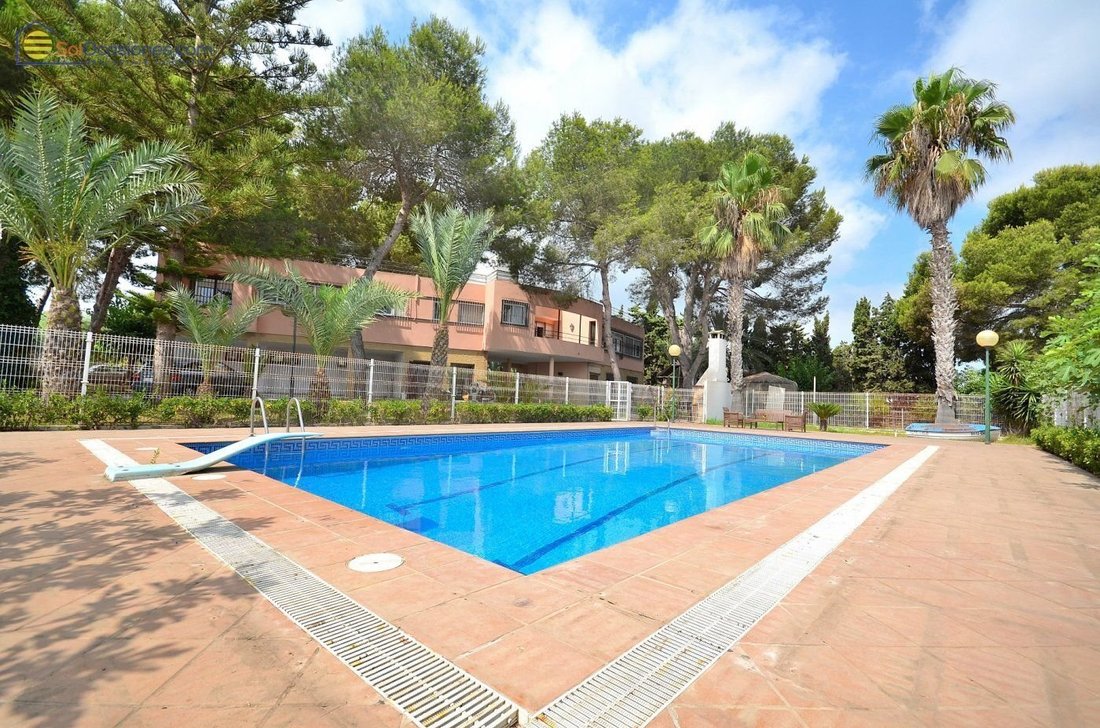 House in Torrevieja, Valencian Community, Spain 2 - 18314883