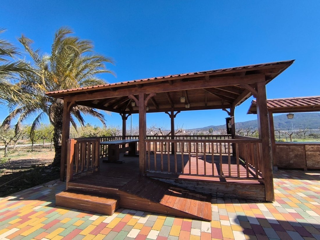 House in el Pinos / Pinoso, Valencian Community, Spain 3 - 18314944