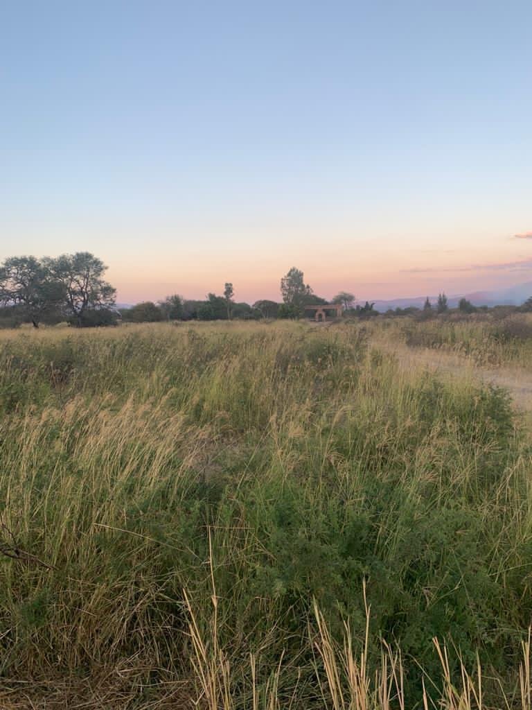 Land in Villa Corona, Jalisco, Mexico 2 - 18311434