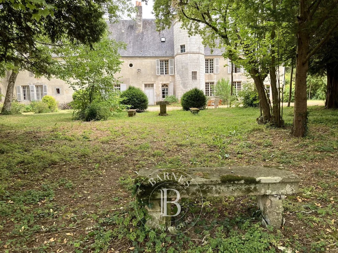 Castle in Saint-Michel-de-Volangis, Centre-Val de Loire, France 2 - 18310485