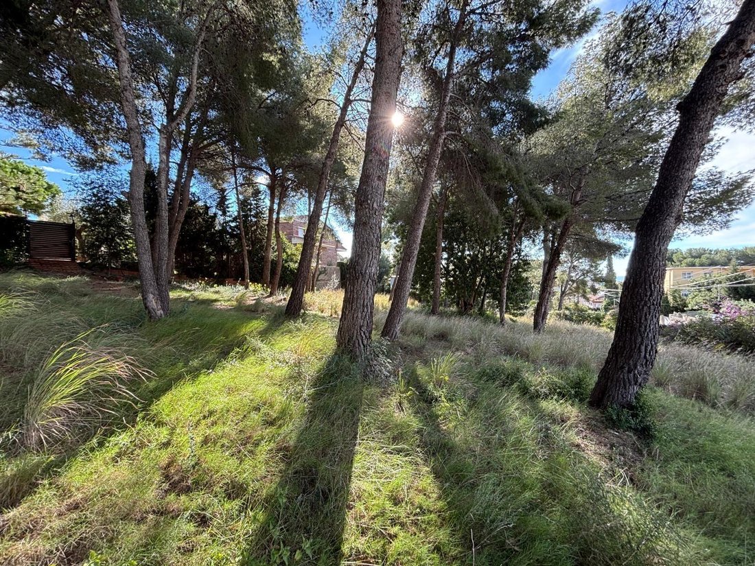 Land in El Mas Mel, Calafell, Spain 5 - 18311954