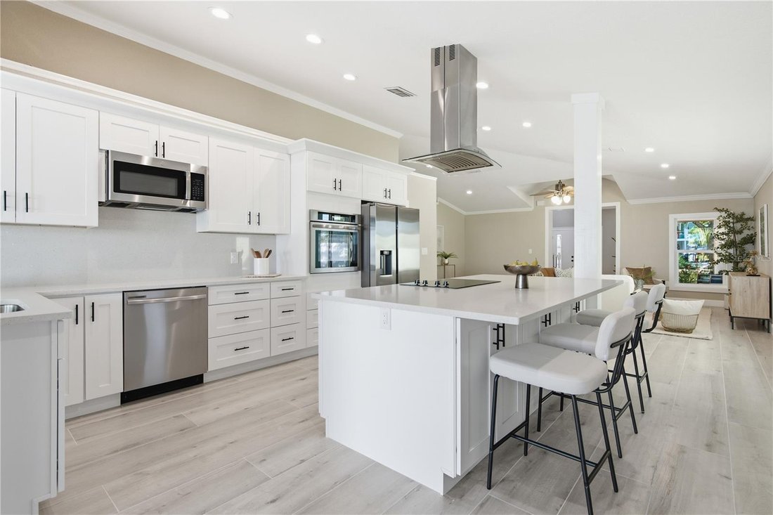 House in Palm Harbor, Florida, United States 4 - 17183041