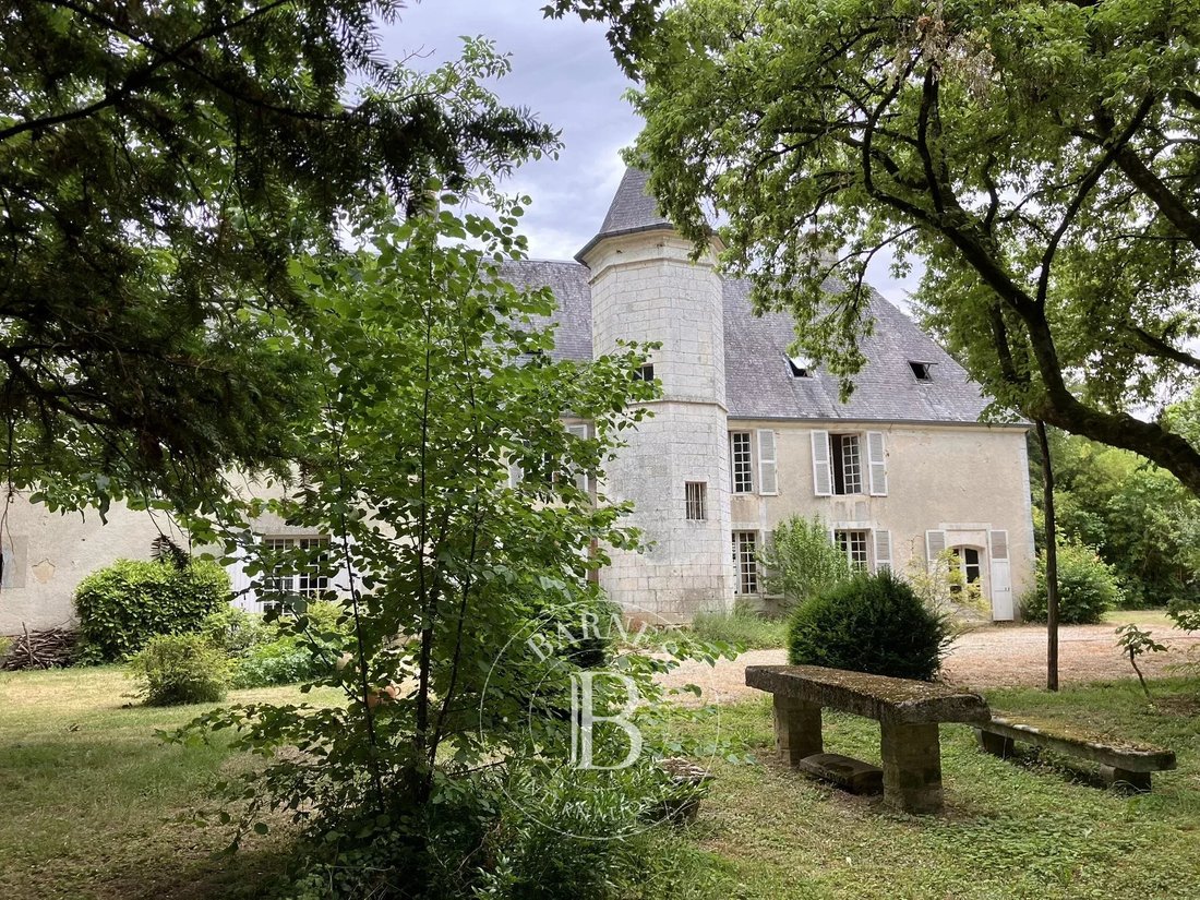 Castle in Saint-Michel-de-Volangis, Centre-Val de Loire, France 3 - 18310485