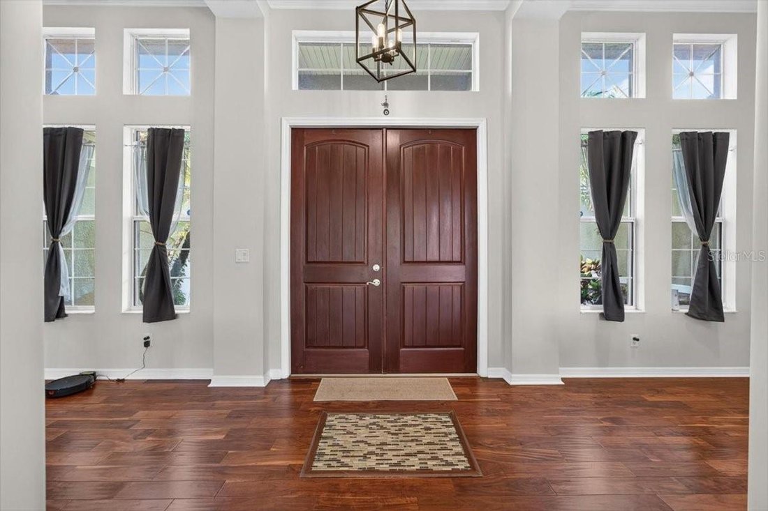 House in Wimauma, Florida, United States 5 - 18244895