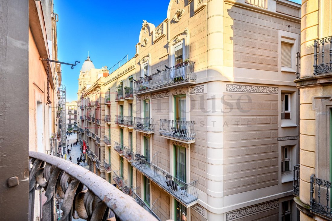 Apartment in Ciutat Vella, Barcelona, Spain 5 - 18314316