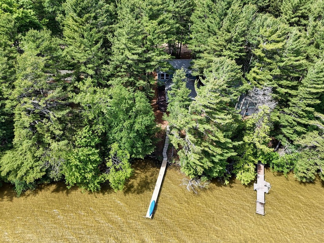 House in Bear Lake, Michigan, United States 3 - 18309427