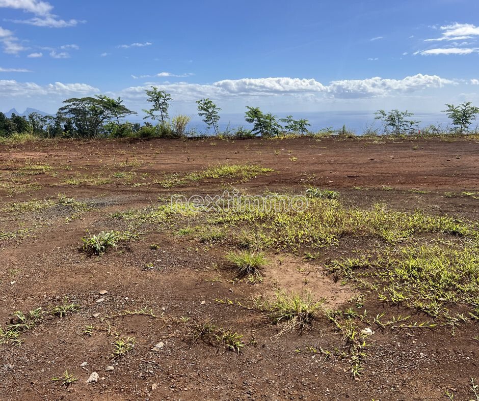 Land in Faa'a, Inseln über dem Winde, Französisch-Polynesien 3 - 18315396