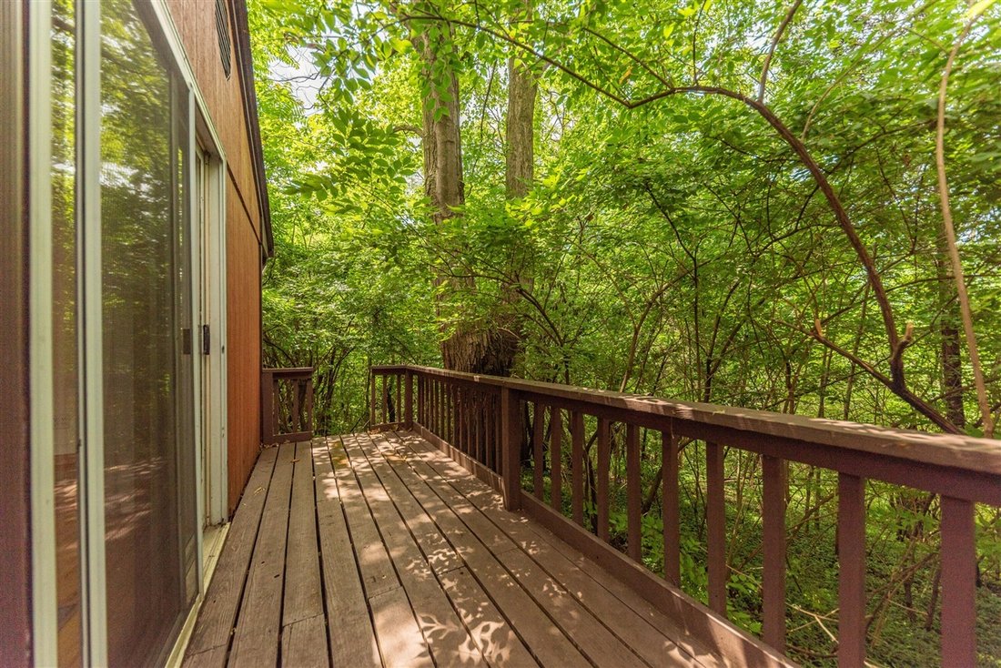 House in Ann Arbor, Michigan, United States 5 - 18309796
