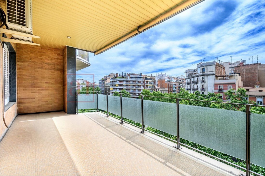 Apartment in Eixample, Barcelona, Spain 1 - 18314122