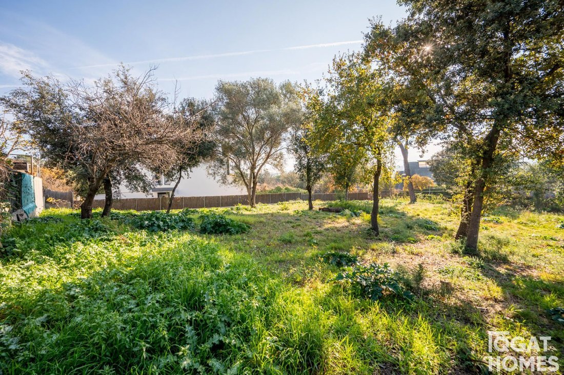 Land in Sant Cugat del Valles, Catalonia, Spain 5 - 18311825