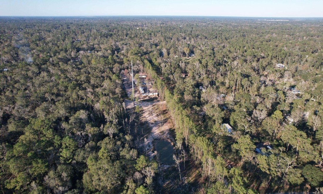 New Caney, Texas, United States 1 - 18315025