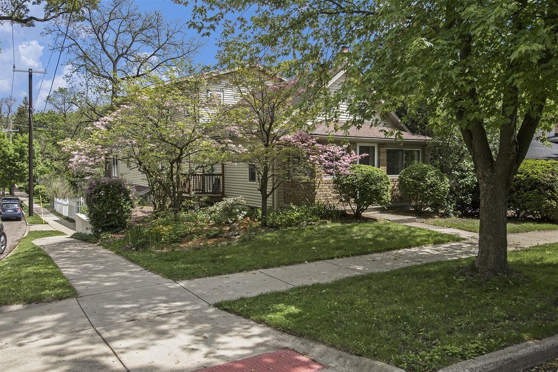 Ann Arbor, Michigan, United States 3 - 18309207