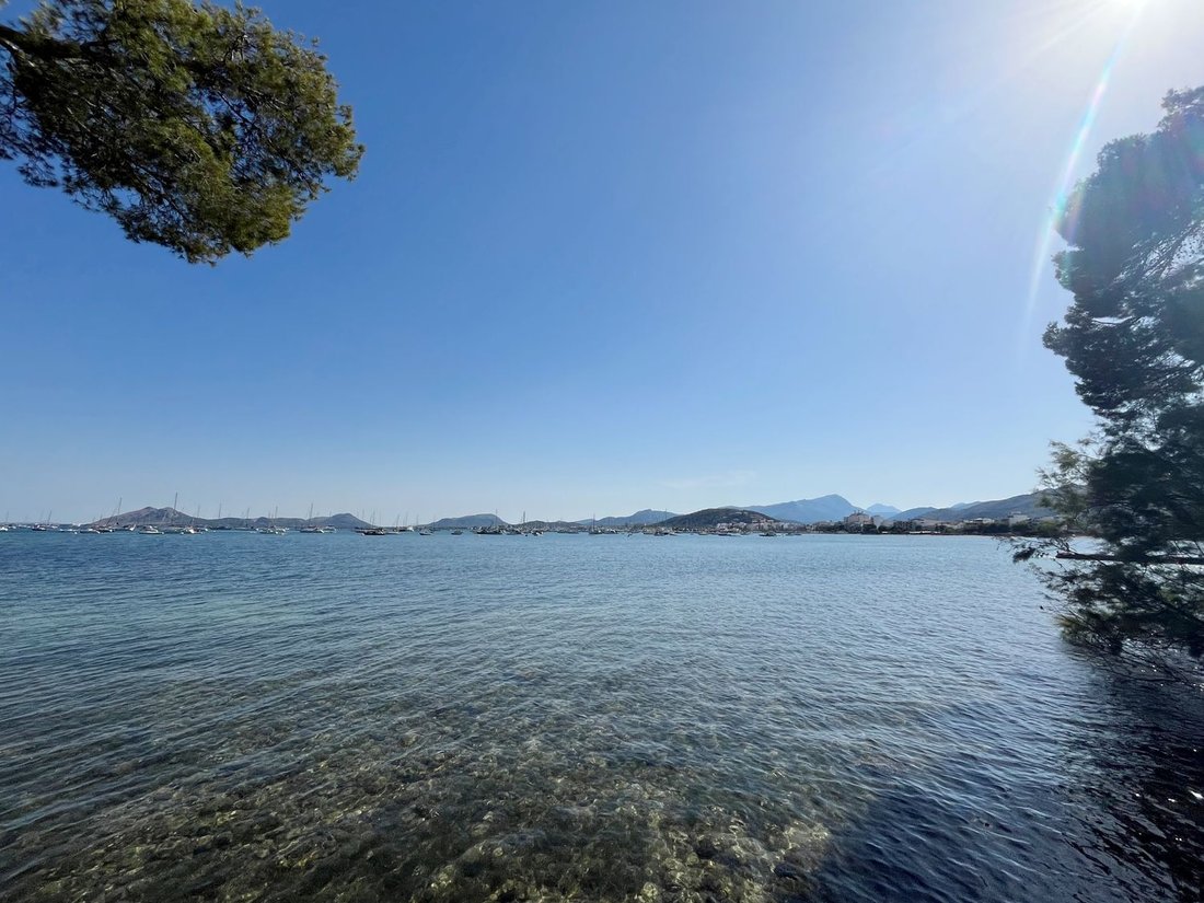 Apartment in Pollenca, Balearic Islands, Spain 4 - 18074303