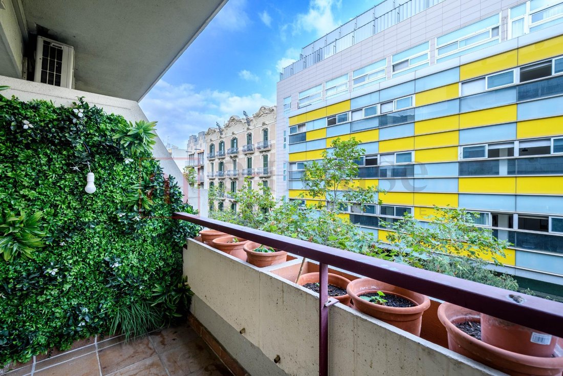 Apartment in Eixample, Barcelona, Spain 5 - 18314163