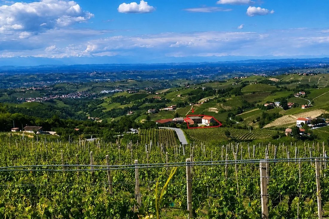 Country House in Mango, Piedmont, Piedmont, Italy 1 - 18310185
