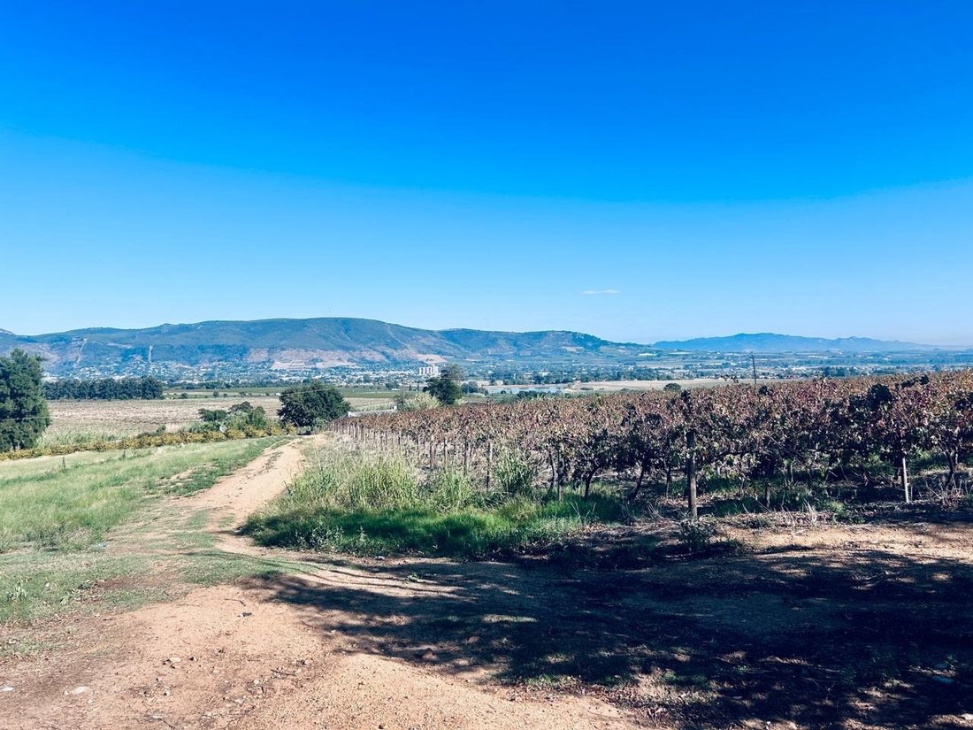 Farm Ranch in Paarl, Groenvlei, Western Cape 4 - 18310878