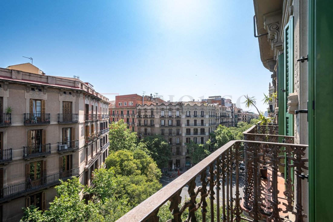 Apartment in Eixample, Barcelona, Spain 5 - 18314287