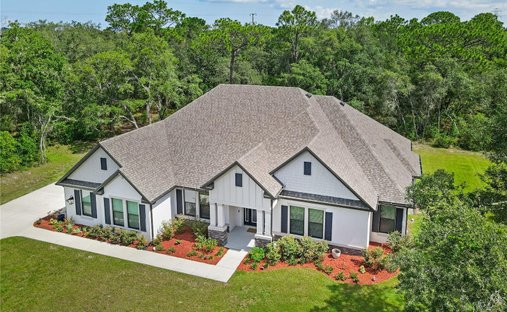House in Spring Hill, Florida, United States 1