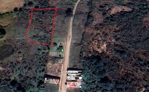 Land in Ayotlán, Jalisco, Mexico 1