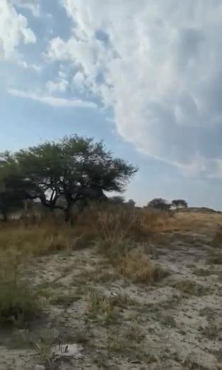 Land in El Cedazo, Aguascalientes, Mexico 3 - 18311487