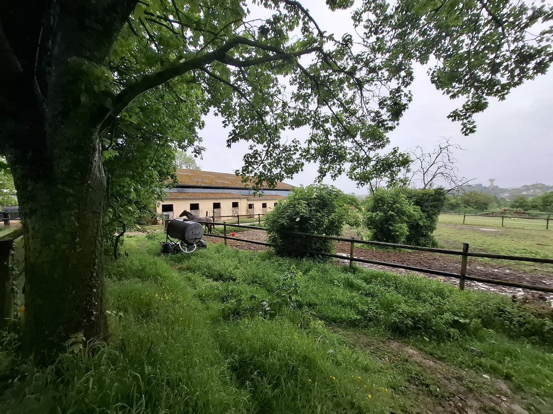 House in Sud, Mamers, France 1 - 18315521