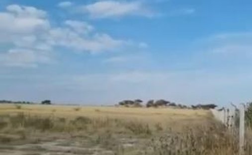 Land in El Cedazo, Aguascalientes, Mexico 1