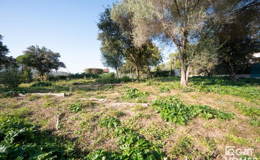 Land in Sant Cugat del Valles, Catalonia, Spain 1