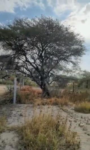 Land in El Cedazo, Aguascalientes, Mexico 5 - 18311486