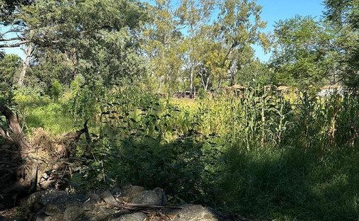 Land in Coyula, Jalisco, Mexico 1