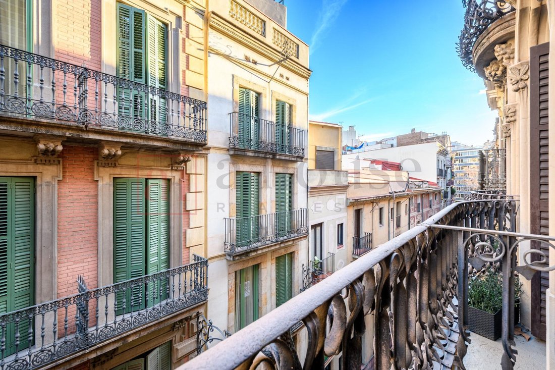 Apartment in Ciutat Vella, Barcelona, Spain 4 - 18314316