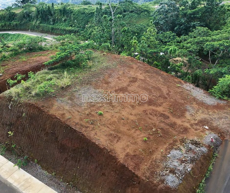 Land in Faa'a, Inseln über dem Winde, Französisch-Polynesien 3 - 18315411