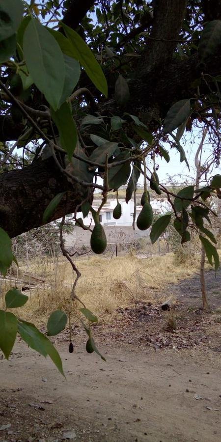 Land in Tlajomulco de Zúñiga, Jalisco, Mexico 5 - 18311429
