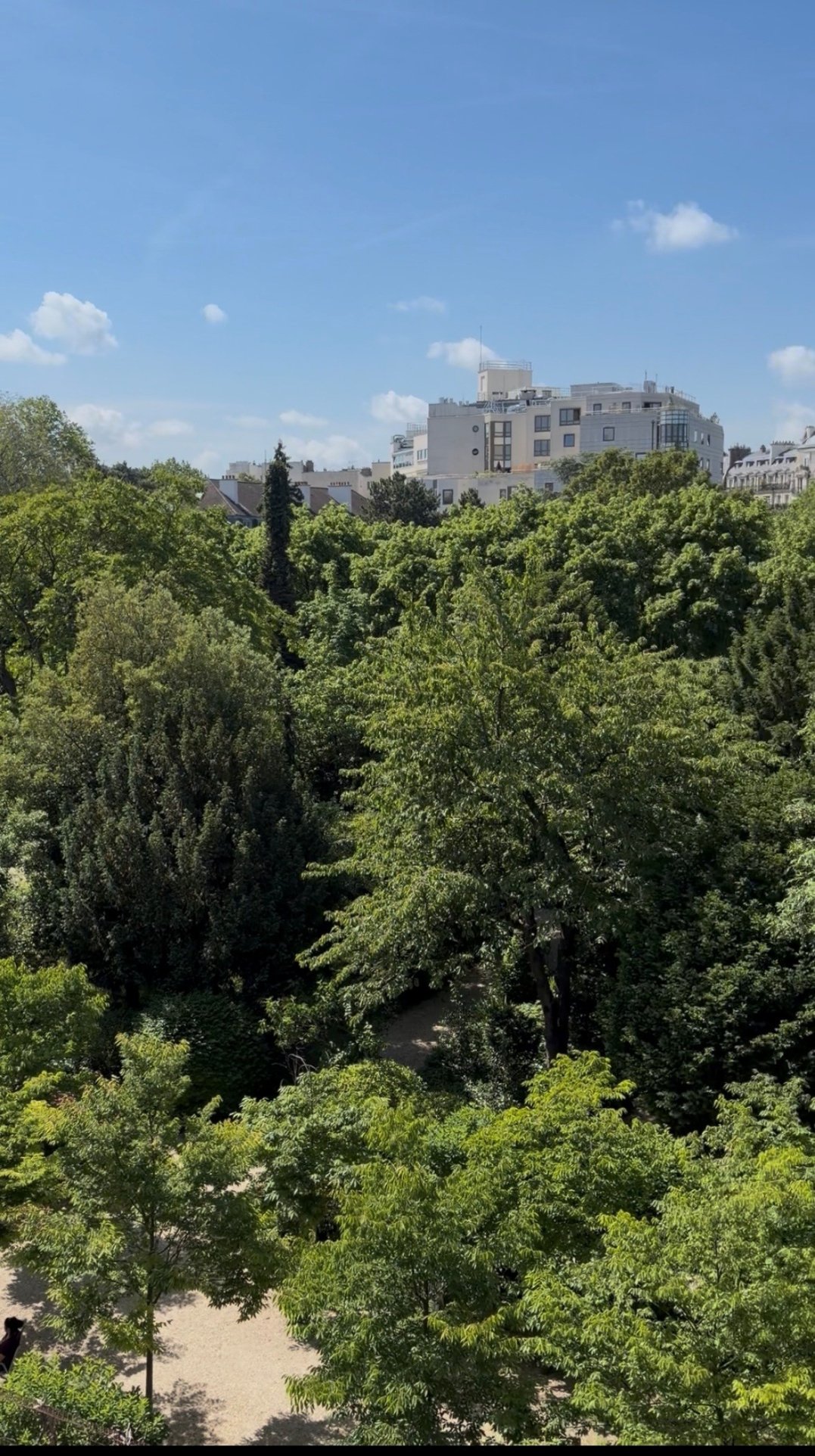 Apartment in Mouton Duvernet, Paris 14e Arrondissement, Paris 4 - 18313703