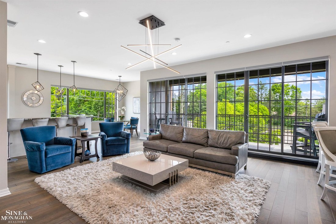 Condo in Rochester, Michigan, United States 5 - 18308247