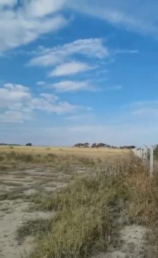 Land in El Cedazo, Aguascalientes, Mexico 3 - 18311486