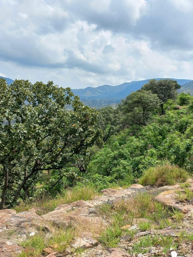Land in Zapopan, Jalisco, Mexico 2 - 18311435