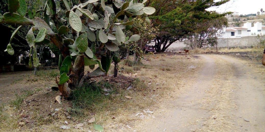 Land in Tlajomulco de Zúñiga, Jalisco, Mexico 3 - 18311429