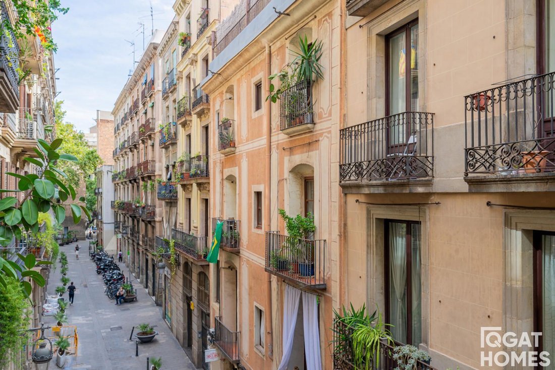 Apartment in Ciutat Vella, Barcelona, Spain 1 - 18314240