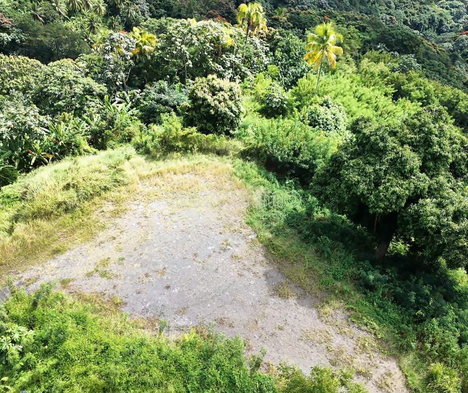 Land in Fa'a'ā, Windward Islands, French Polynesia 5 - 18315380