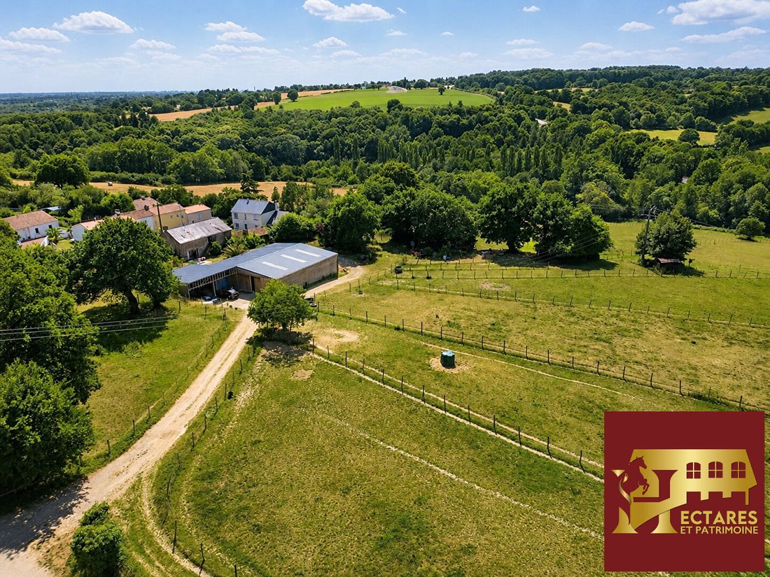 Villa in Mauves-sur-Loire, Pays de la Loire, France 1 - 18314543